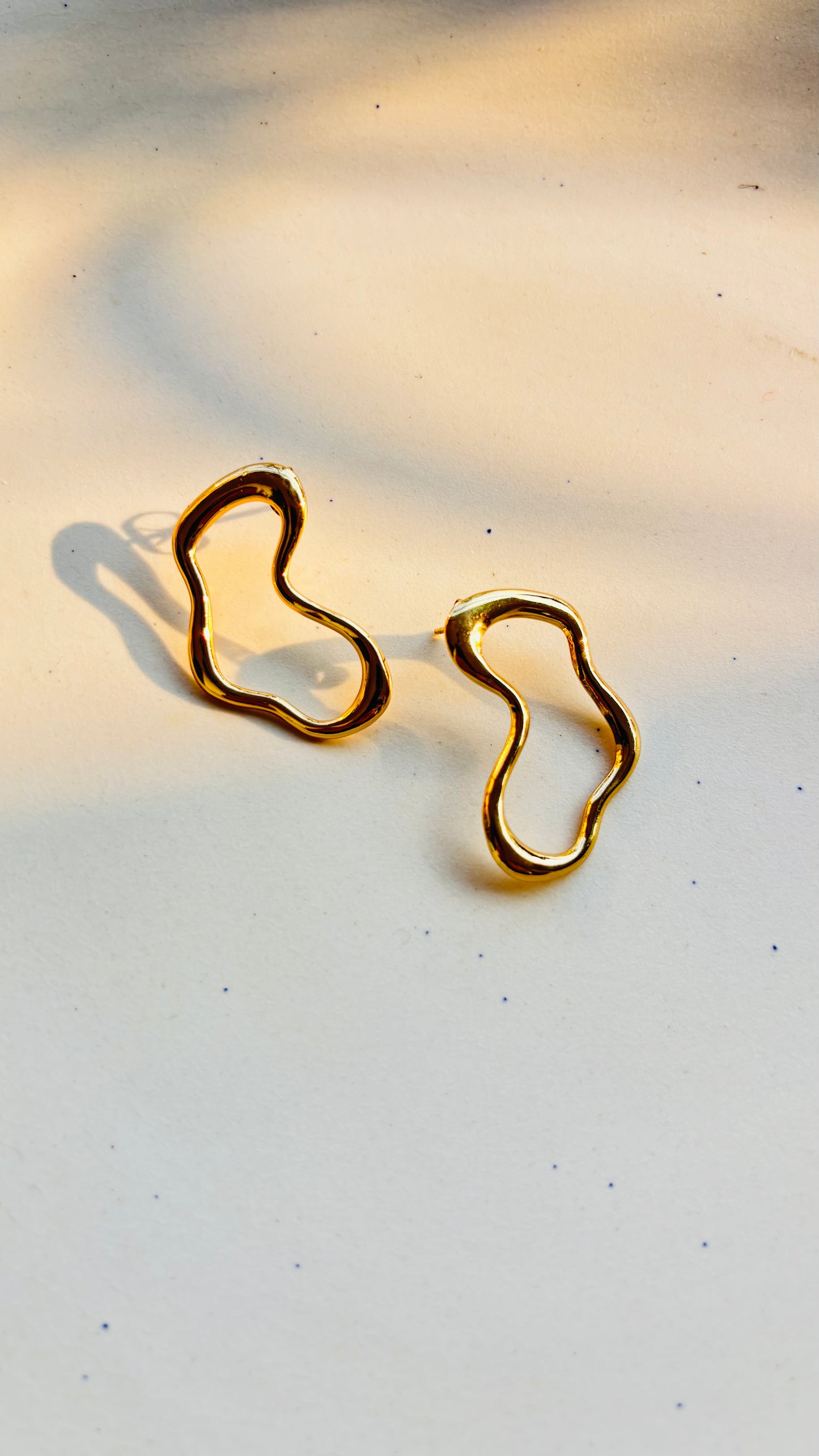 Elegant earrings
